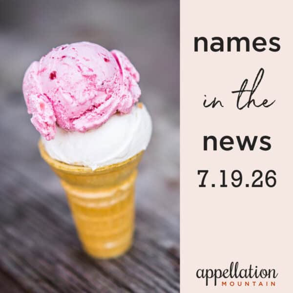 strawberry and vanilla ice cream cone on wooden picnic table; names in the news 7.19.26