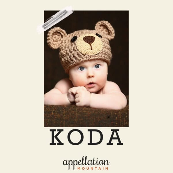 white baby boy wearing brown knit bear hat on dark background; baby name Koda