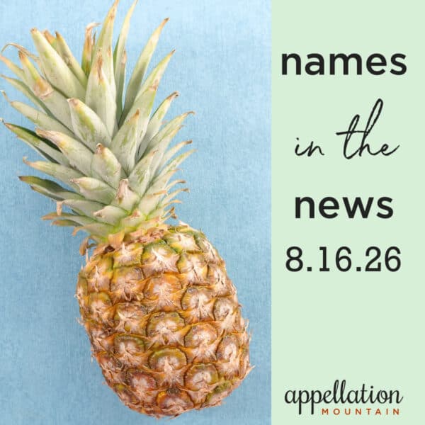 pineapple on a blue background; names in the news 8.16.26