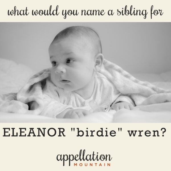 newborn baby propped up on elbows under blanket; naming a sibling for Birdie