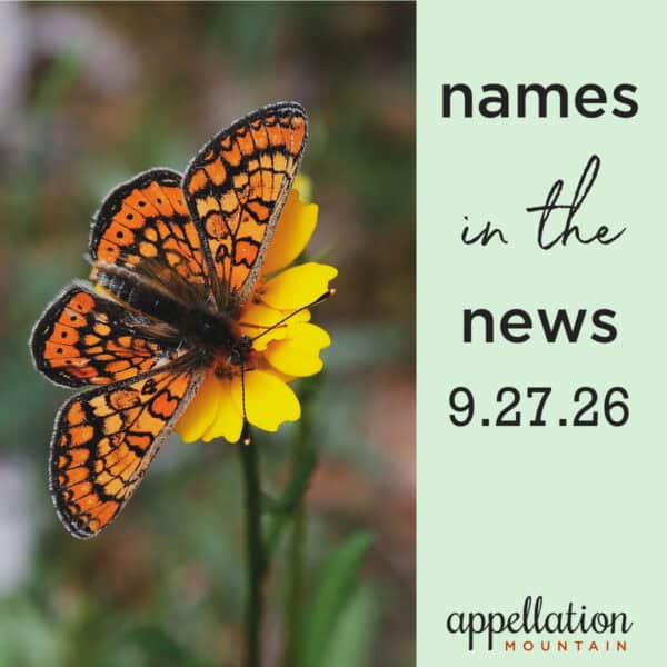 orange and gold butterfly on yellow flower; names in the news 9.27.26