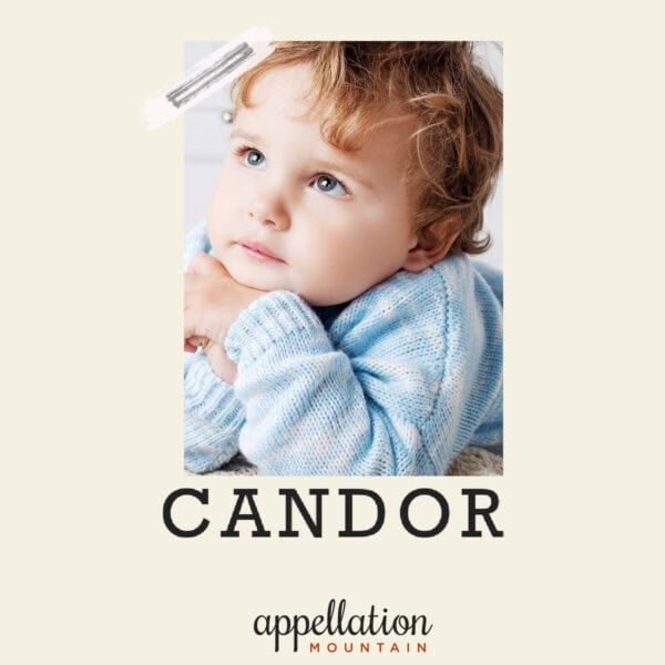 toddler boy with light brown wavy hair wearing a blue shirt and a thoughtful expression; baby name Candor