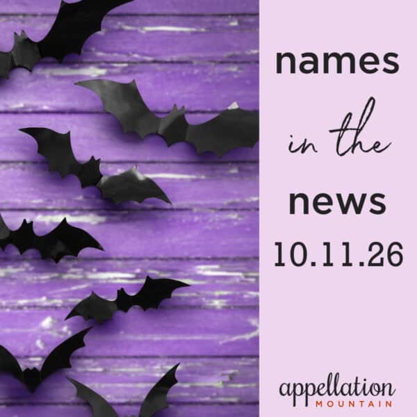 paper bats against purple painted wood background; names in the news 10.11.26